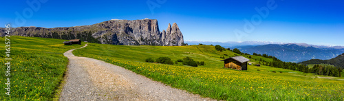 mountain landscape panorama photo
