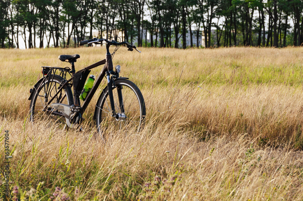 The bicycle stands among the tall grass on the meadow. Later summer, the grass is yellow