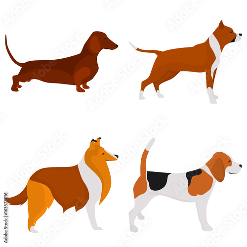 Set of dogs breeds color flat icon for web and mobile design