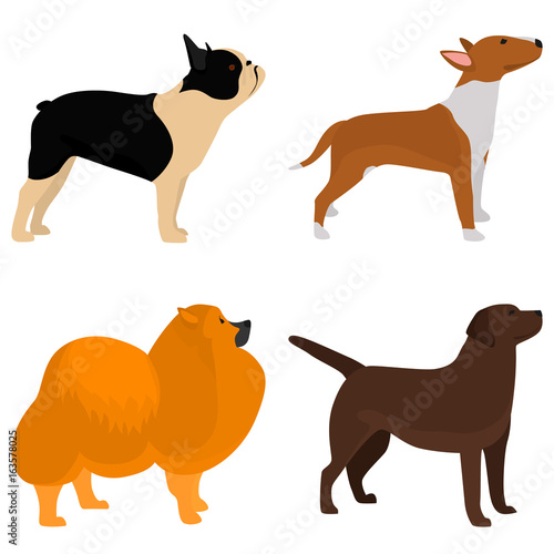 Set of dogs breeds color flat icon for web and mobile design