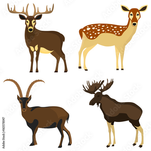 Set of hoofed animals color flat icons for web and mobile design