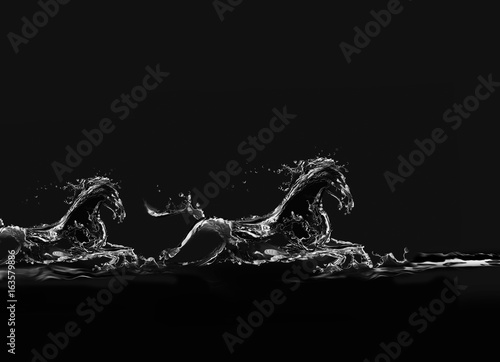 Fototapeta Naklejka Na Ścianę i Meble -  Two Black Water Horses Running