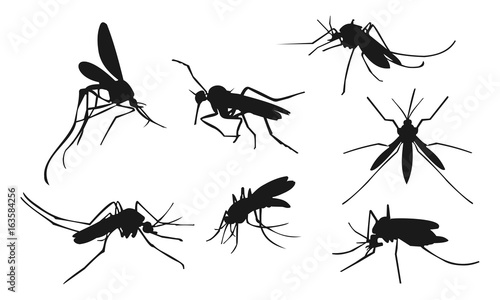 silhouette mosquito set © mbarep