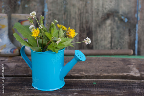 Fototapeta Naklejka Na Ścianę i Meble -  Colorful flowers in a watering can