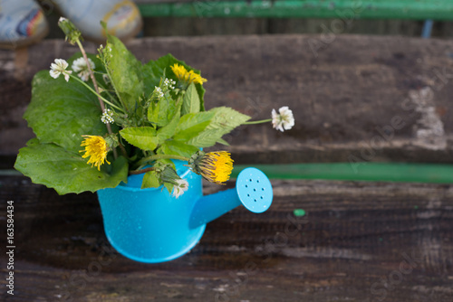 Fototapeta Naklejka Na Ścianę i Meble -  Colorful flowers in a watering can