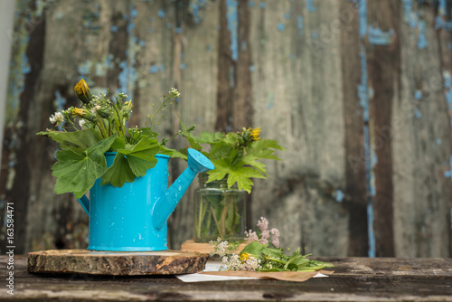 Fototapeta Naklejka Na Ścianę i Meble -  Colorful flowers in a watering can
