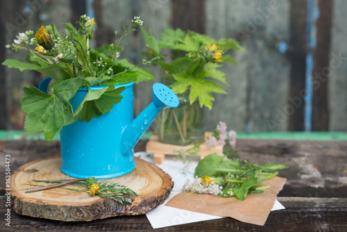 Fototapeta Naklejka Na Ścianę i Meble -  Colorful flowers in a watering can