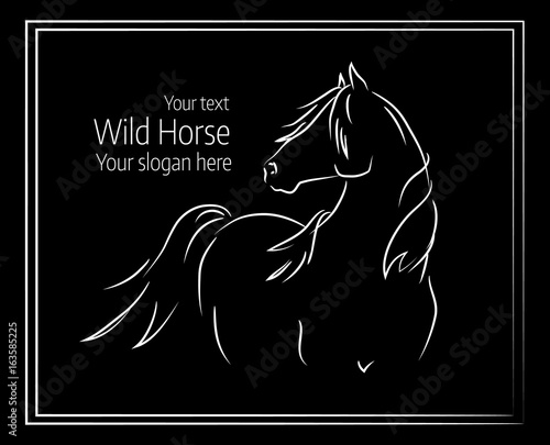 Hand drawn vector illustration of wild horse on black background