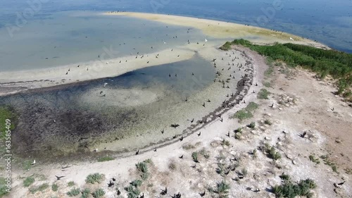 Amazing view on Dzharylhach island in the Black sea from bird`s eye perspective with flocks of black cormorants and white seagulls flying over it and sitting on an alien looking sand beach in summer. photo