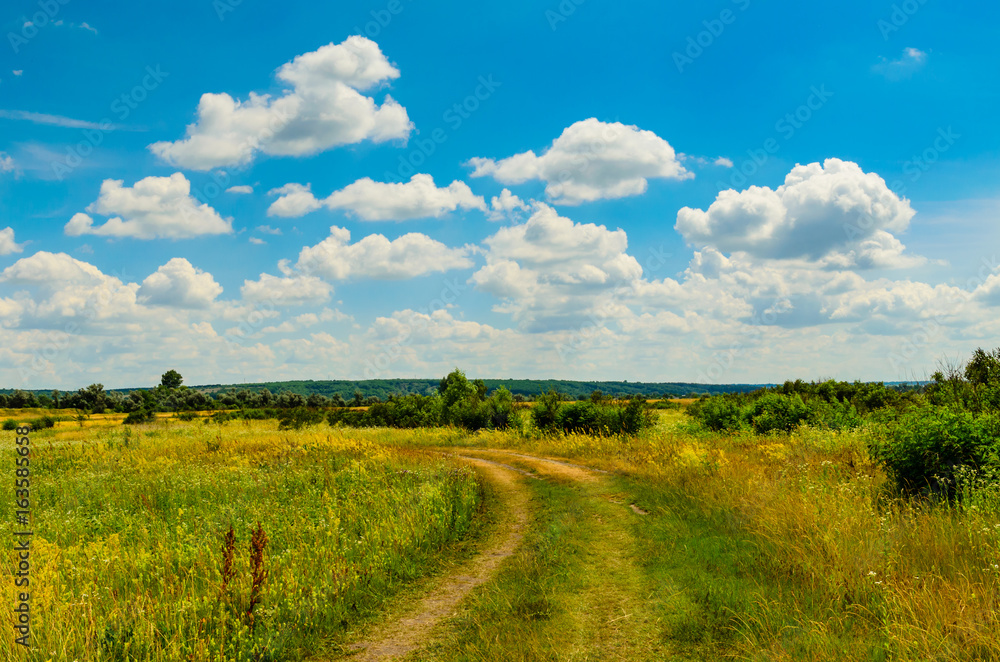 Rural road through the green meadow Rural road through the green meadow