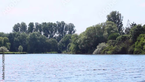 Wallpaper Mural Lake in park or forest. Sunny summer.  Torontodigital.ca