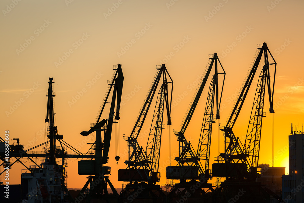 Big cranes silhouette in the port at sunset