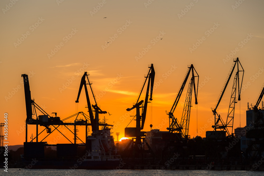 Big cranes silhouette in the port at sunset