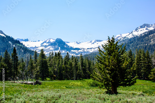 Mountain with Glacier in the summer at California