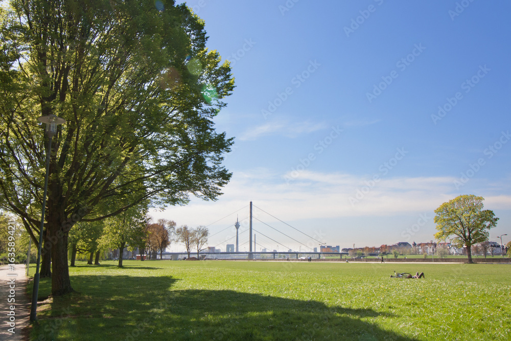 Fototapeta premium Spaziergang im Park