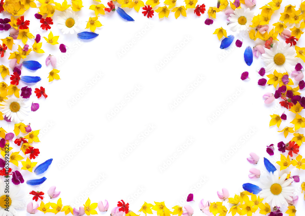 round color flower frame on white background round color flower frame on white background