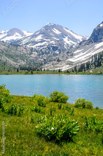 Glacier Mountain with Lake in the Summer with green