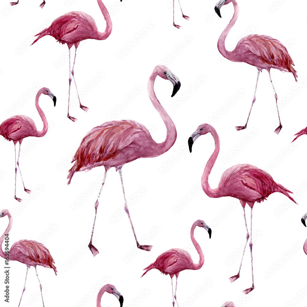 Obraz premium Watercolor flamingo seamless pattern. Exotic wading bird ornament isolated on white background. Tropical natural illustration. For design, prints or background