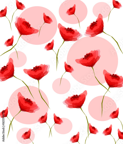 Papaveri, illustrazione grafica. 