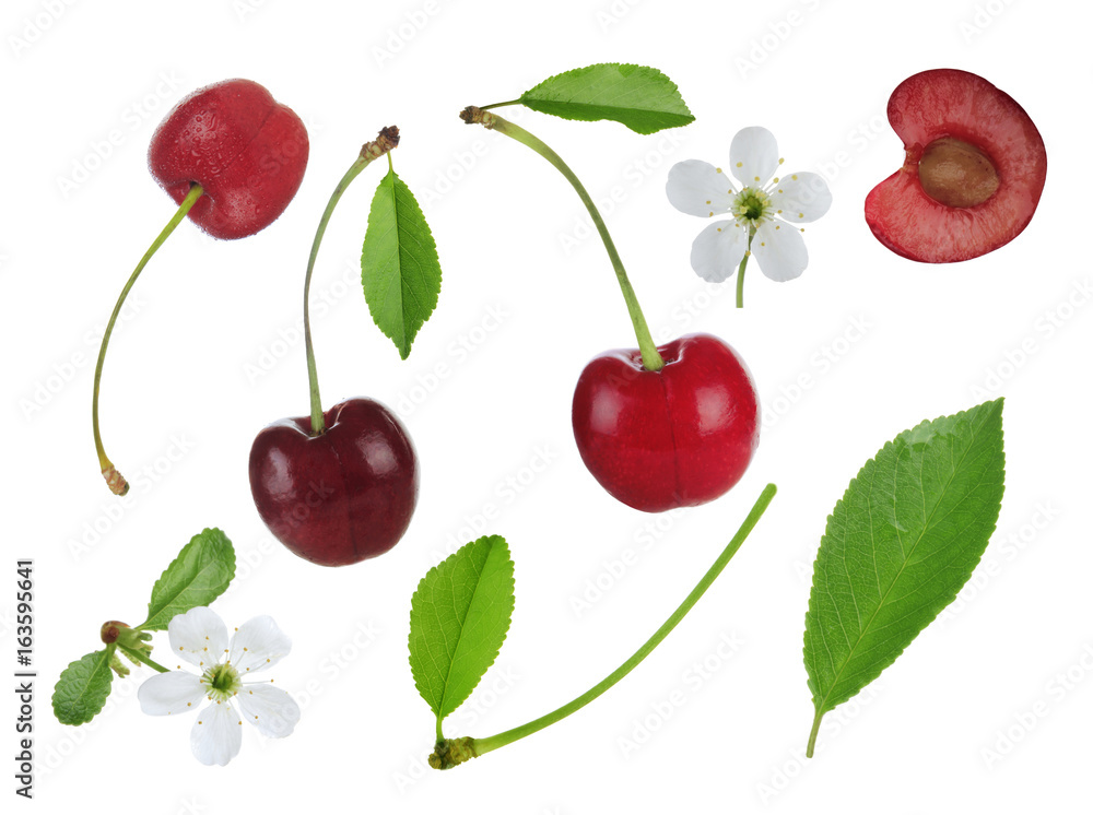 set of cherry berries isolated set of cherry berries isolated