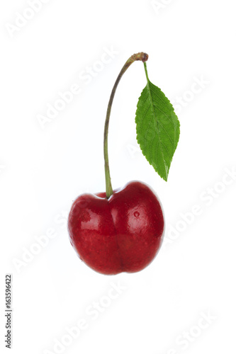 cherry with leaf isolated photo