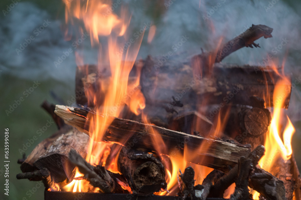 firewood outdoor on open fire in evening time firewood outdoor on open fire in evening time