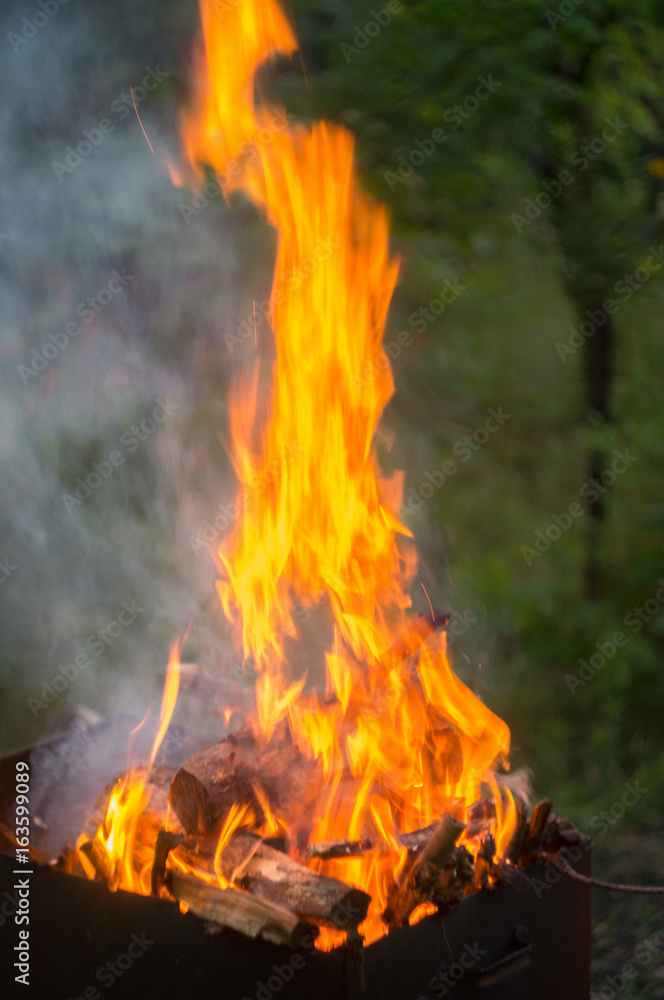 firewood outdoor on open fire in evening time firewood outdoor on open fire in evening time