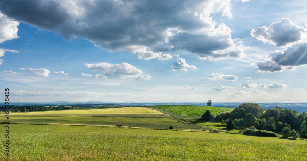 Fototapeta premium Summer landscape under blue sky with clouds. Romantic view of idyllic countryside with fields, grassland and trees covered by the sun.