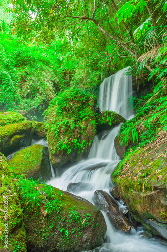 Beautiful waterfall in tropical forest.