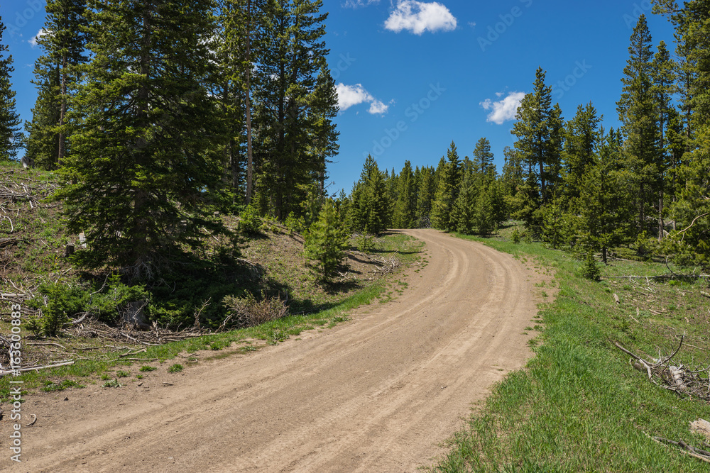 Dirt path leads into the woods of a Rocky Mountain hillside in the American west. Dirt path leads into the woods of a Rocky Mountain hillside in the American west.