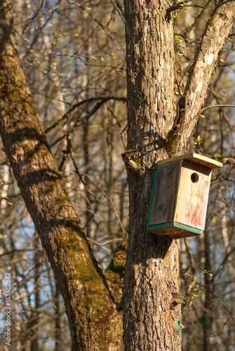 wooden birdhouse hangs on the tree trunk