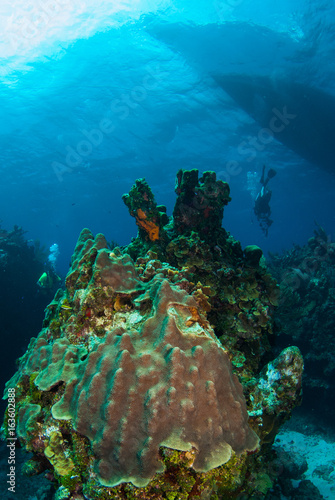 A scuba diver can be seen swimming underneath his boat as he floats above the pristine coral reef in Grand Cayman. The tropical caribbean reef is home to many species and provides a natural habitat