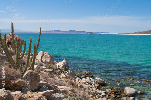 Isla Espiritu Santo, La Paz Baja California Sur. MEXICO photo