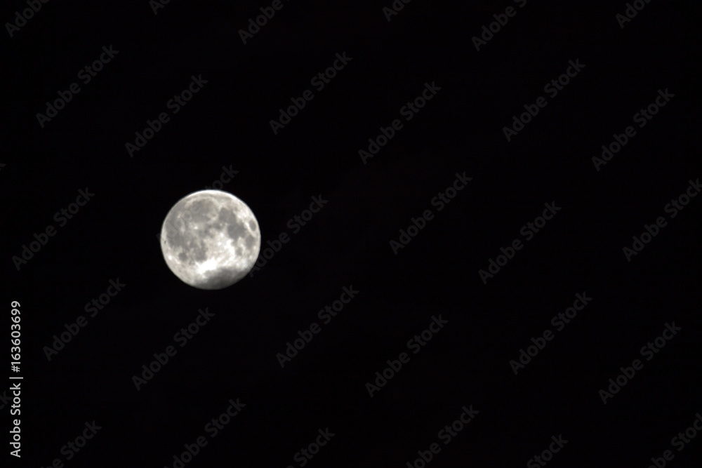 Obraz premium Full Moon