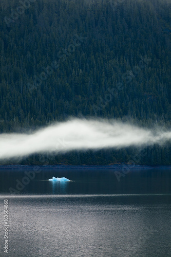 Glacier ice floats in water with trees and fog