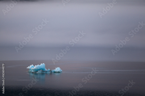 Glacier ice floats alone in fog
