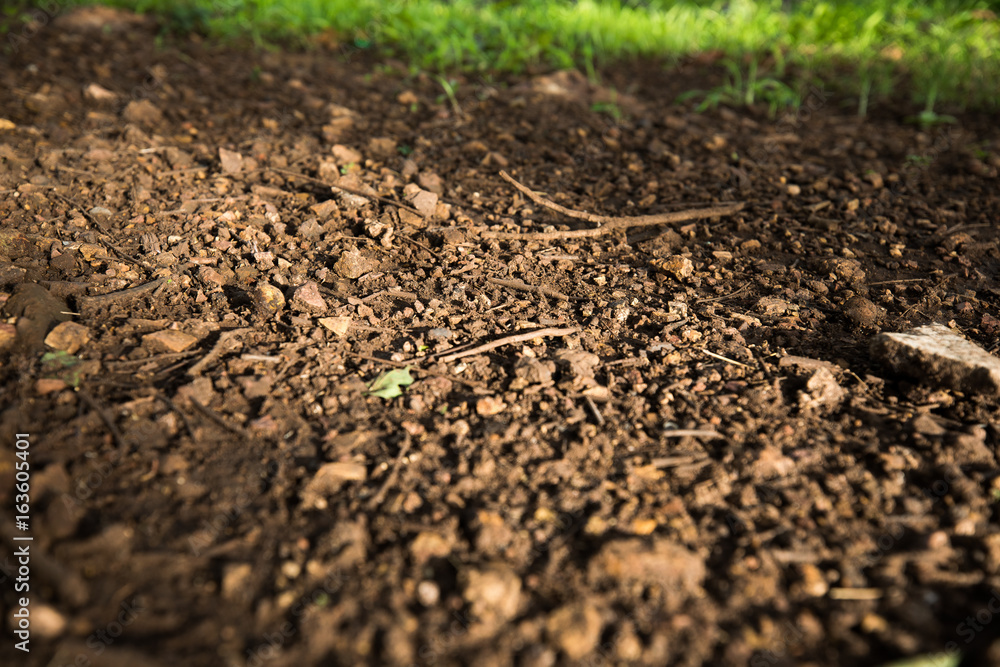 A ray of light shine on a soil A ray of light shine on a soil