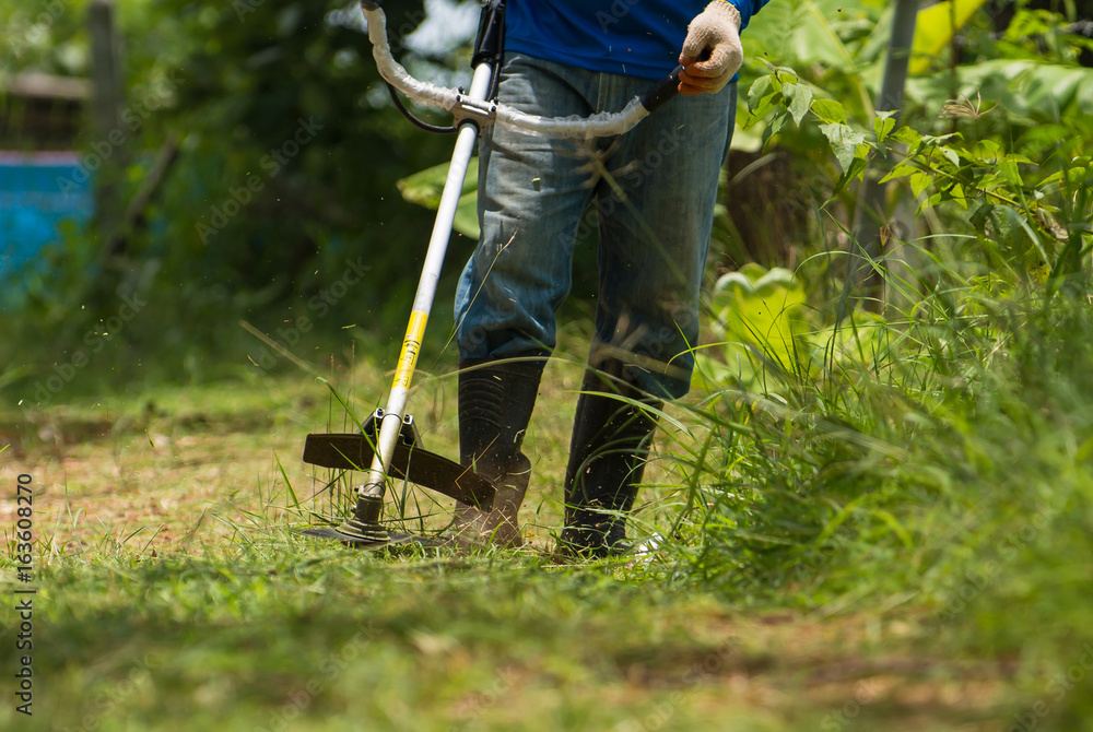 cut the grass cut the grass