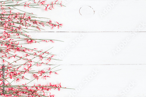 Flowers composition. Frame made of pink flowers on white background. Flat lay, top view