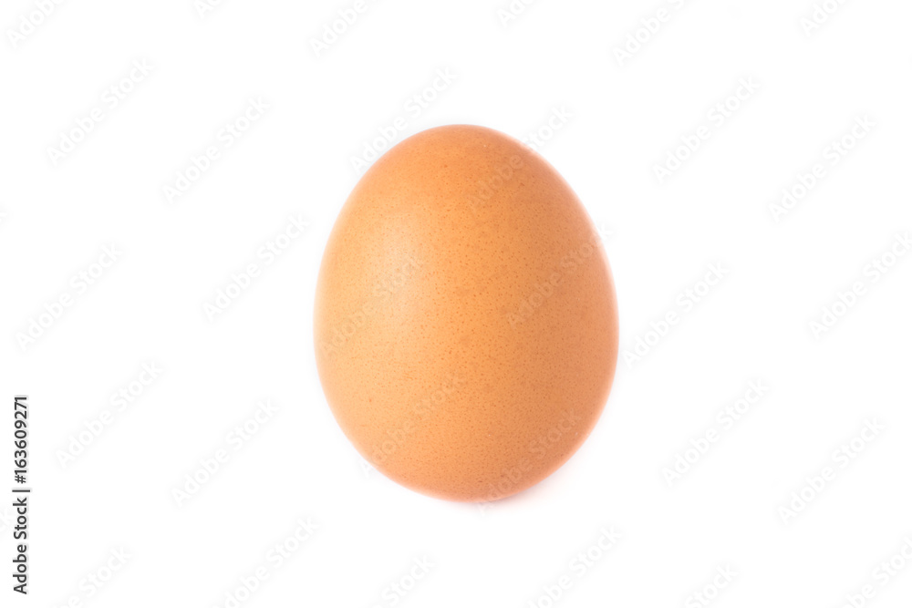 egg isolated egg isolated