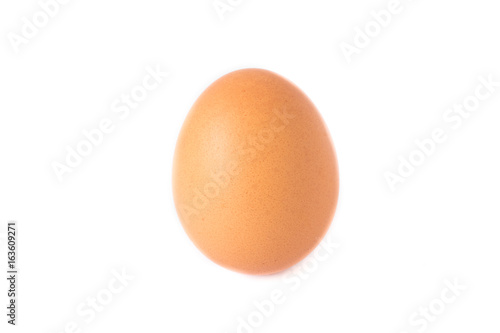 egg isolated