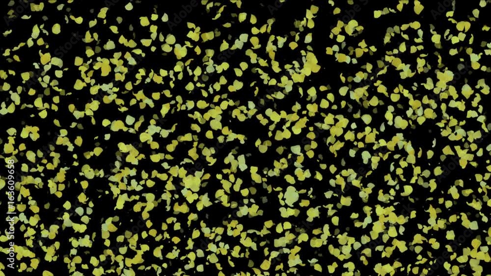 4k Leaves in fall,romantic harvest,ginkgo debris particle background,falling flower petals backdrop. 4k Leaves in fall,romantic harvest,ginkgo debris particle background,falling flower petals backdrop.