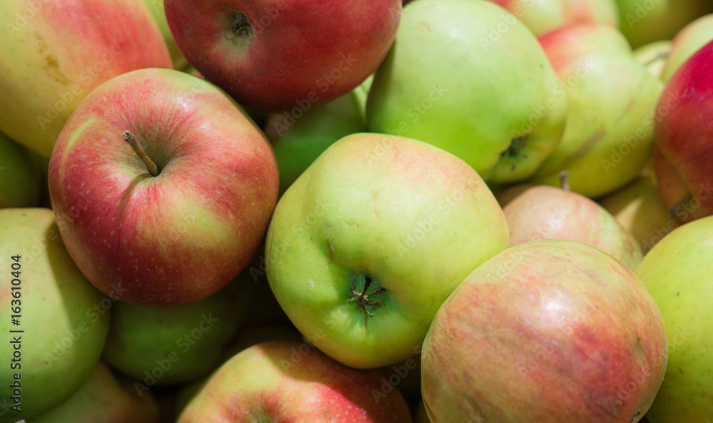 Fresh, ripe red apples gathered in the garden. Fresh, ripe red apples gathered in the garden.