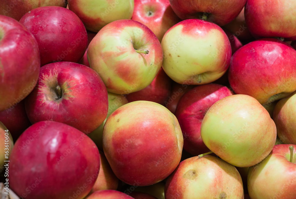 Fresh, ripe red apples gathered in the garden. Fresh, ripe red apples gathered in the garden.