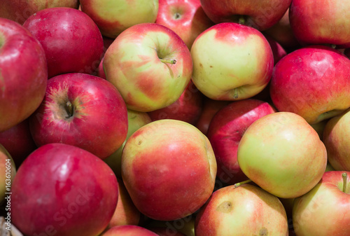 Cuadro en lienzo Fresh, ripe red apples gathered in the garden.