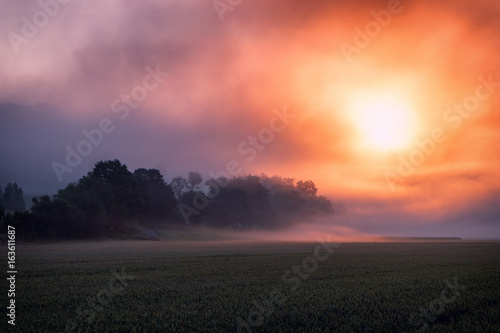 Surreal fiery sunrise at the misty, foggy fields.
