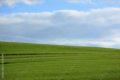 Landscape with green meadow and blue sky