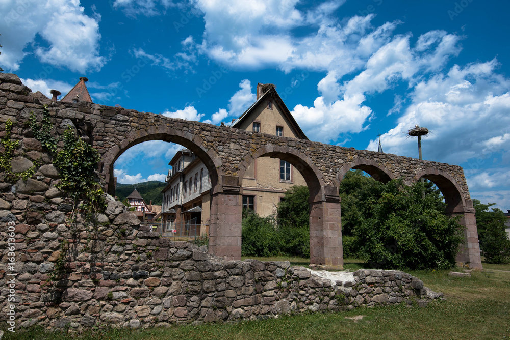 Ruine vor Munster im Elsass, Blick auf zwei Storchennester