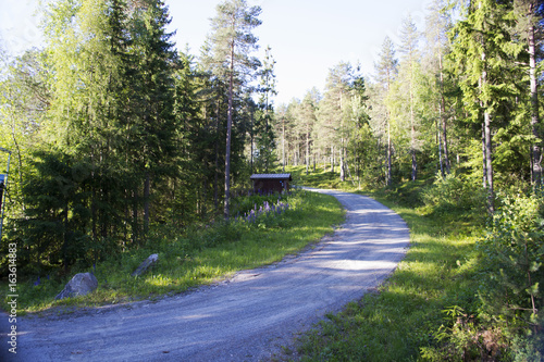 Bjørneparken, in the mountains on the road between Oslo and Bergen, Norway