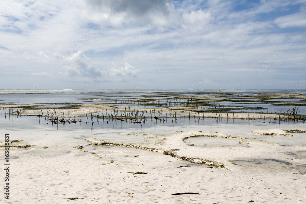 Low Tide In Zanzibar